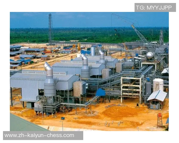 新加坡与印尼的经济竞争与合作关系探讨及未来发展前景分析